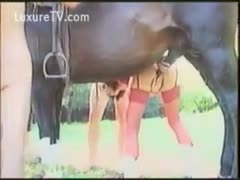 A pair of honeys wearing nylons having fun with beastiality outside